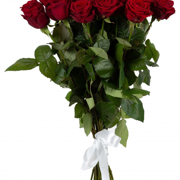 11 гигантских Красных роз 110 см.jpg