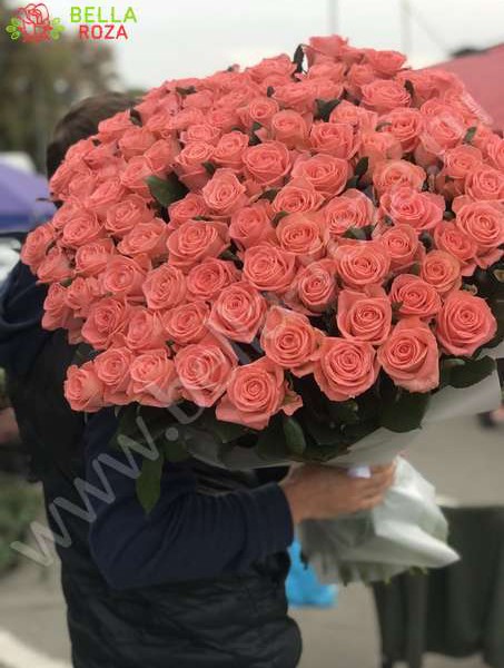 75 розовых роз Анна Карина 100 см