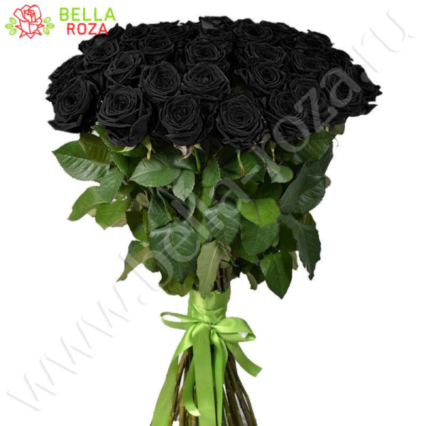 31 натуральная черная роза 70-90 см