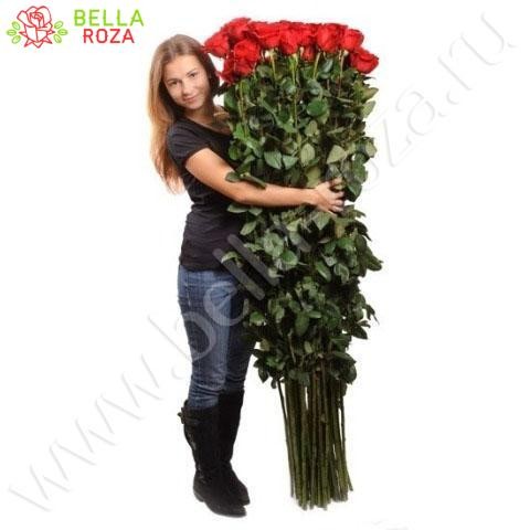 35 гигантских Красных роз 150 см