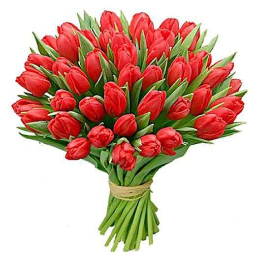 Букет Тюльпаны красные 75 шт 