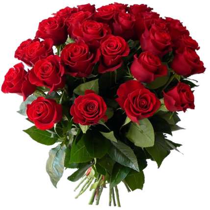 Розы 150 см поштучно (любое количество) купить в Москве по цене 450 руб с доставкой - Bella Roza