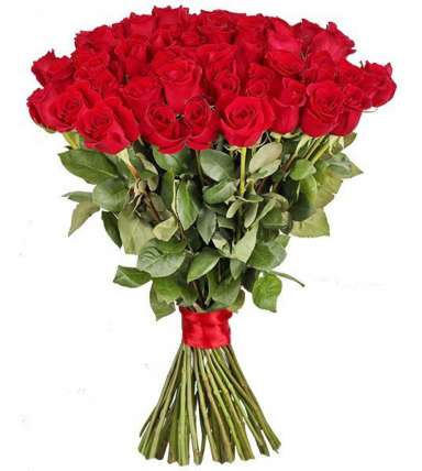 75 гигантских Красных роз 110 см купить в Москве по цене 18750 руб с доставкой - Bella Roza