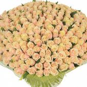 201 кремовая роза Талея "Поцелуй на удачу" 70 см