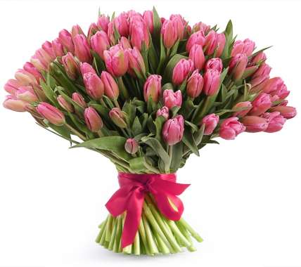 101 розовый тюльпан купить в Москве по цене 7999 руб с доставкой - Bella Roza