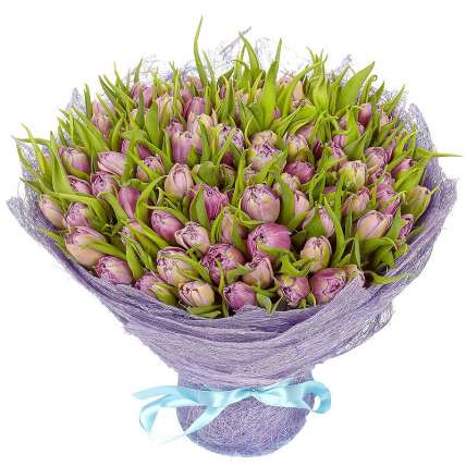101 фиолетовый тюльпан купить в Москве по цене 7999 руб с доставкой - Bella Roza