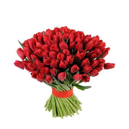 101 красный тюльпан купить в Москве по цене 7999 руб с доставкой - Bella Roza