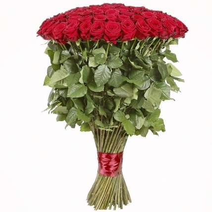 101 гигантская Красная роза 140 см купить в Москве по цене 37000 руб с доставкой - Bella Roza
