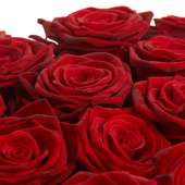 301 красная роза 70 см