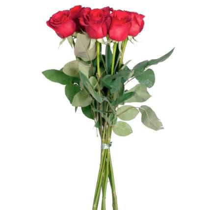 11 гигантских Красных роз 120 см купить в Москве по цене 3080 руб с доставкой - Bella Roza