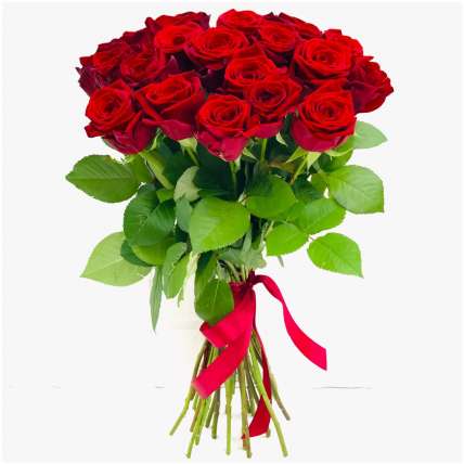 11 гигантских Красных роз 130 см купить в Москве по цене 3520 руб с доставкой - Bella Roza