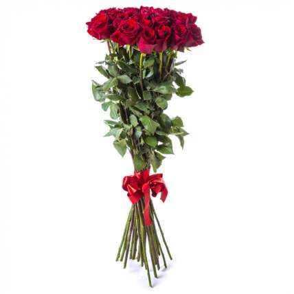 11 гигантских красных роз 100 см купить в Москве по цене 2400 руб с доставкой - Bella Roza