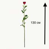 31 гигантская Красная роза 130 см 