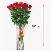 31 красная метровая роза (100 см)