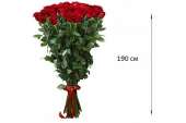 9 гигантских Красных роз 190см