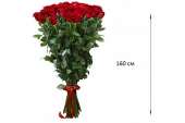 101 гигантская Красная роза 160см