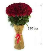 101 гигантская Красная роза 180 см