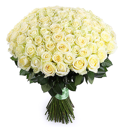 101 белая роза Аваланш  70 см "Большой снег" купить в Москве по цене 7990 руб с доставкой - Bella Roza