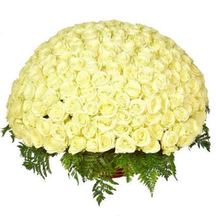 Круглая корзина из 201 белой розы купить в Москве по цене 15000 руб с доставкой - Bella Roza