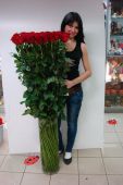 15 гигантских Красных роз 150 см