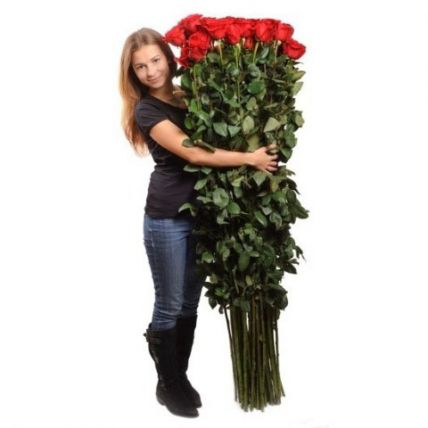 35 гигантских Красных роз 150 см купить в Москве по цене 15750 руб с доставкой - Bella Roza