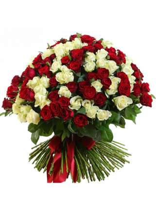 201 роза красная и белая купить в Москве по цене 15900 руб с доставкой - Bella Roza