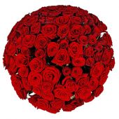 101 красная роза "Ред Наоми" 70 см