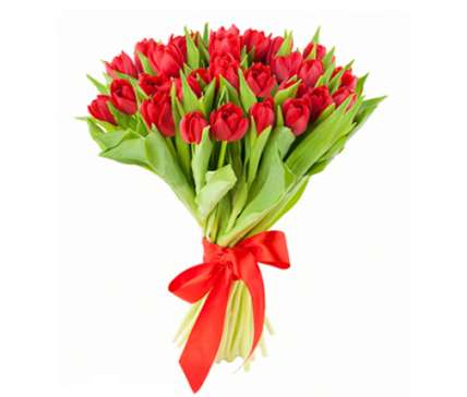 Тюльпаны красные 25 шт купить в Москве по цене 1690 руб с доставкой - Bella Roza