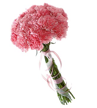 25 розовых гвоздик купить в Москве по цене 1500 руб с доставкой - Bella Roza