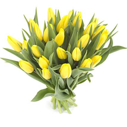 Тюльпаны желтые 25 шт купить в Москве по цене 2999 руб с доставкой - Bella Roza