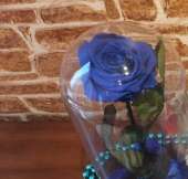 Синяя роза в колбе