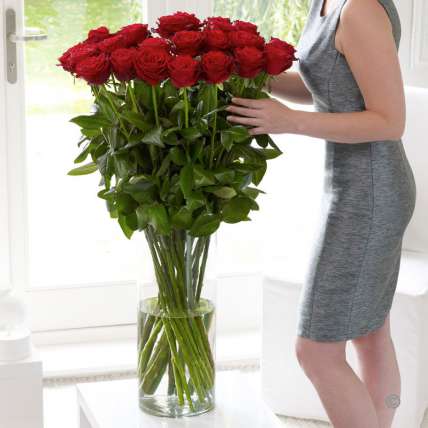 35 гигантских Красных роз 120 см купить в Москве по цене 9800 руб с доставкой - Bella Roza