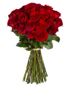 Розы 120 см поштучно (любое количество) купить в Москве по цене 280 руб с доставкой - Bella Roza