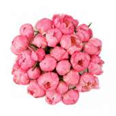 Букет из 25 розовых пионов "Авирон"