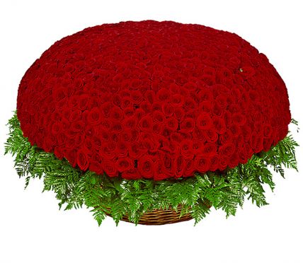1001 Роза красная в корзине купить в Москве по цене 49990 руб с доставкой - Bella Roza