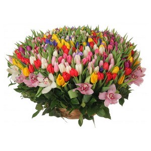 201 тюльпан в корзине купить в Москве по цене 12490 руб с доставкой - Bella Roza