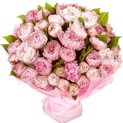 Букет из 51 розового пиона  купить в Москве по цене 56100 руб с доставкой - Bella Roza