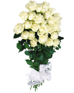 Розы 130 см поштучно (любое количество) купить в Москве по цене 320 руб с доставкой - Bella Roza