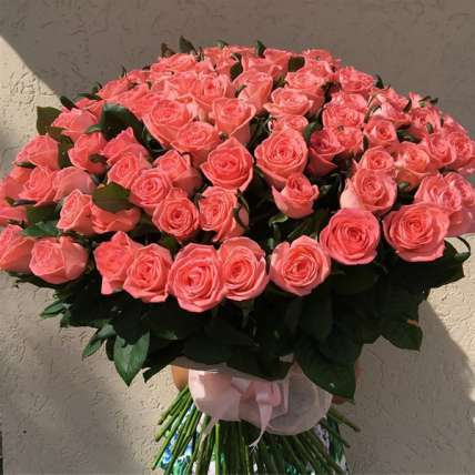Букет из 51 розовой розы Анна Карина 100 см купить в Москве по цене 11700 руб с доставкой - Bella Roza