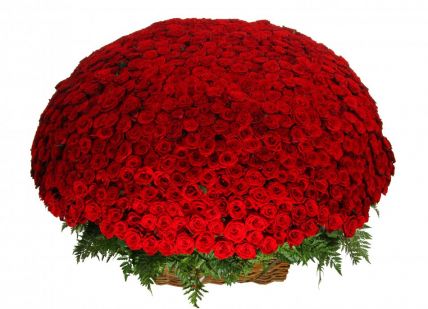 1001 красная роза в корзине купить в Москве по цене 49900 руб с доставкой - Bella Roza