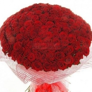 101 Красная роза "Страсть" 70 см купить в Москве по цене 7990 руб с доставкой - Bella Roza