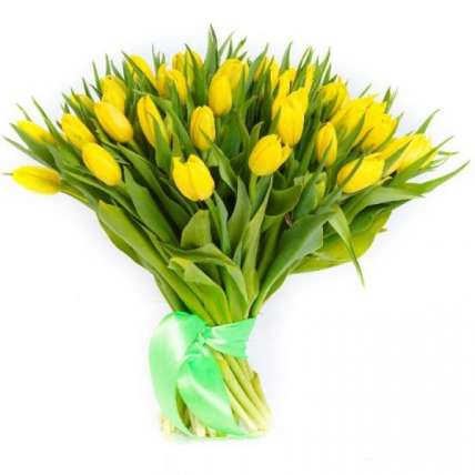 Тюльпаны желтые 51 шт  купить в Москве по цене 3190 руб с доставкой - Bella Roza