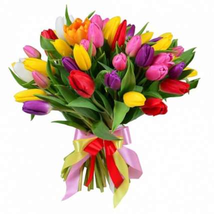 Тюльпаны микс 51 шт купить в Москве по цене 5100 руб с доставкой - Bella Roza
