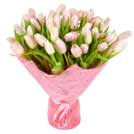 Тюльпаны розовые 51 шт купить в Москве по цене 5100 руб с доставкой - Bella Roza