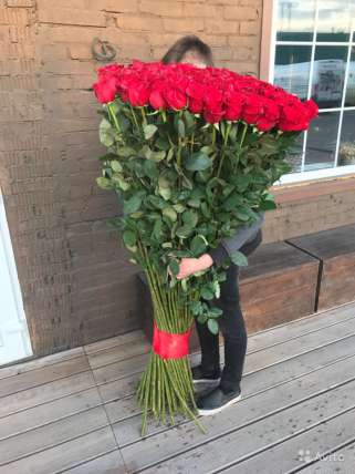 25 гигантских Красных роз 160 см купить в Москве по цене 12500 руб с доставкой - Bella Roza