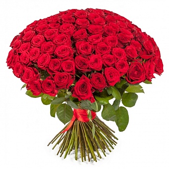 101 красная роза "Люкс" 70см купить в Москве по цене 7990 руб с доставкой - Bella Roza