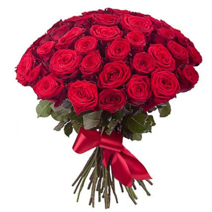 51 красная роза гран при 70 см "Бог любви" купить в Москве по цене 3990 руб с доставкой - Bella Roza