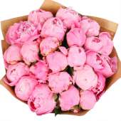 Букет из 25 голландских розовых пионов "Нари"