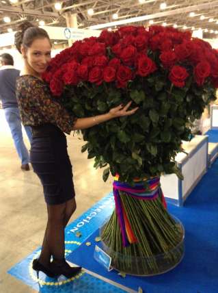 151 гигантская Красная роза 170 см купить в Москве по цене 95000 руб с доставкой - Bella Roza