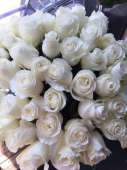 51 белая роза 100 см